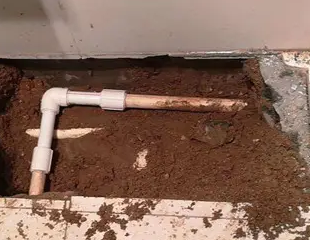 靖江测漏水哪家好