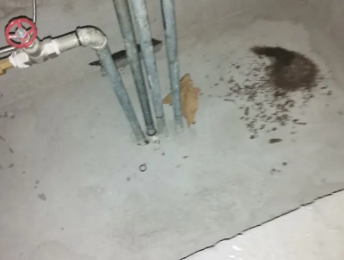 靖江卫生间测漏水价格明细