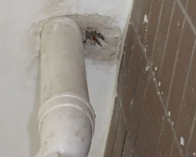 靖江漏水检测哪家好